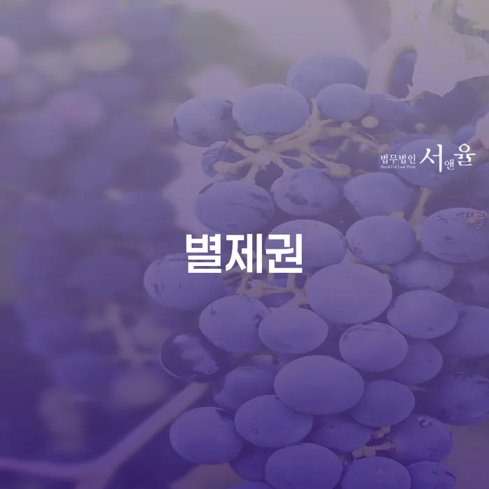 통장압류확인 개인회생 제도 체크해보세요