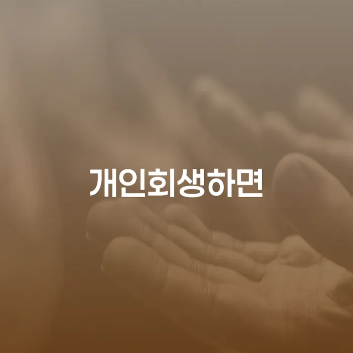 개인회생수임료 분납가능하고 개인회생,개인파산으로 결정나고