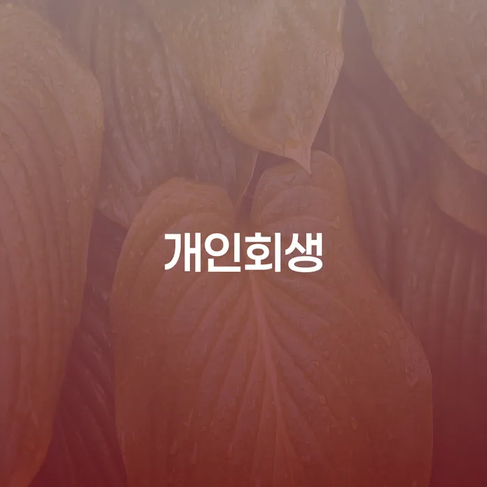 창신1동 개인회생을 통한 경제적 회복
