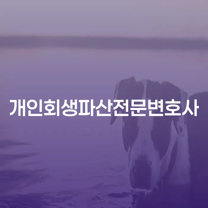 서구 개인회생파산전문변호사와 함께하는 재기의 기회