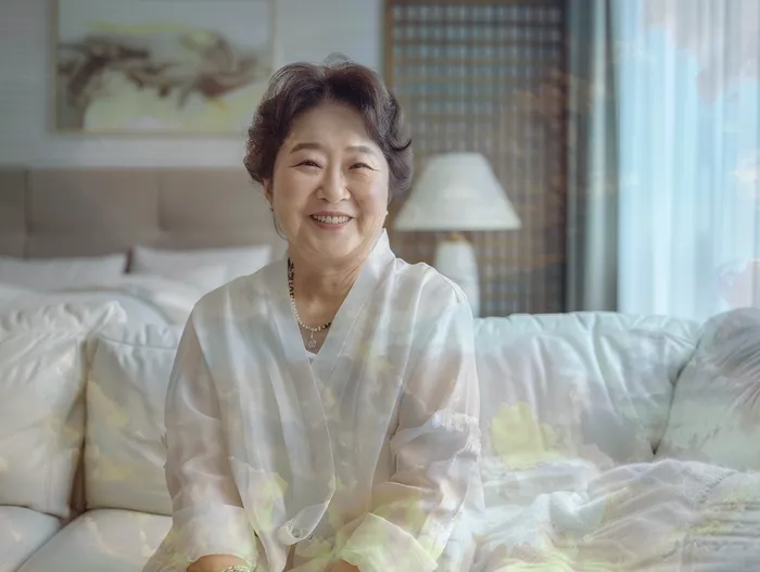 채무 해결 방안